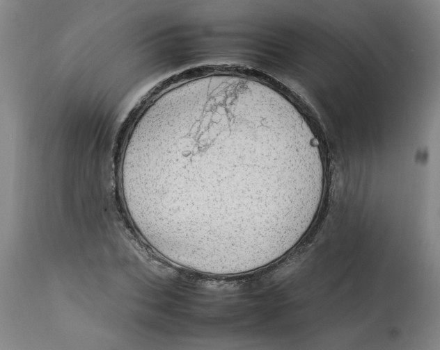 X0000112790927200909111208