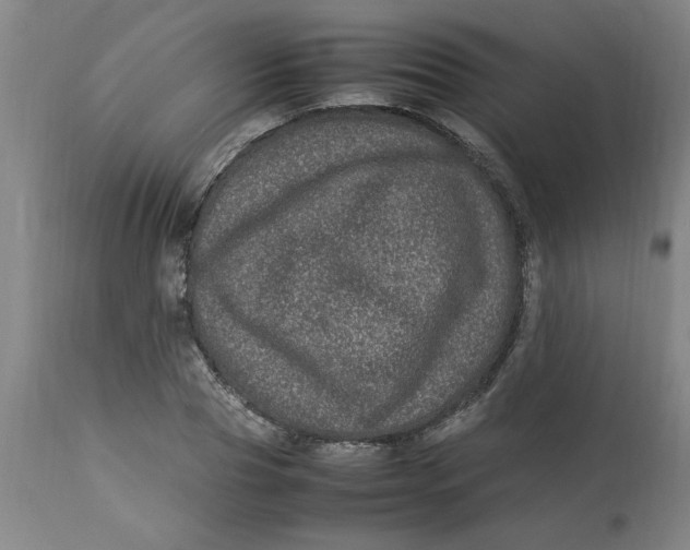 X0000112790929200909111208