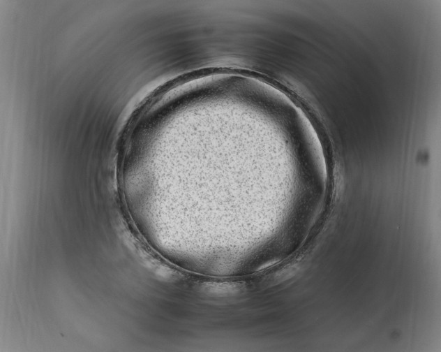 X0000112790931200909111208