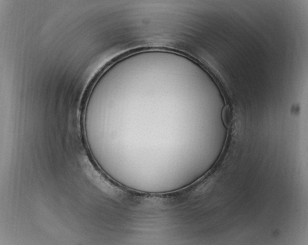 X0000112790932200909111208