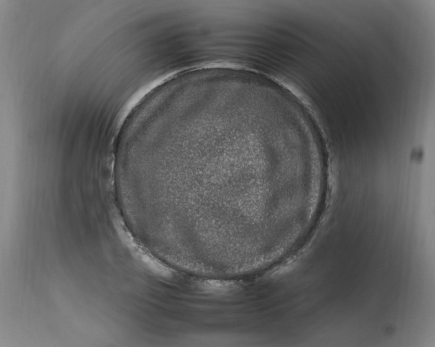 X0000112790933200909111208