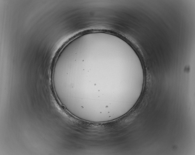 X0000112790935200909111208