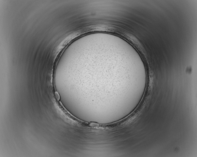 X0000112790938200909111208