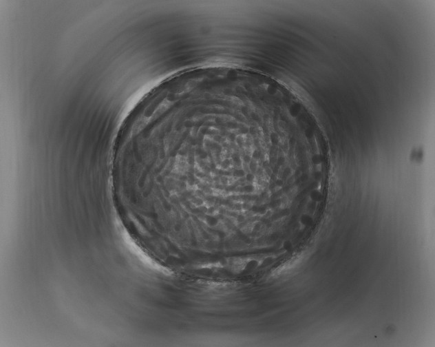 X0000112790941200909111208