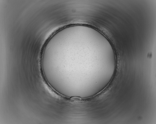 X0000112790942200909111208