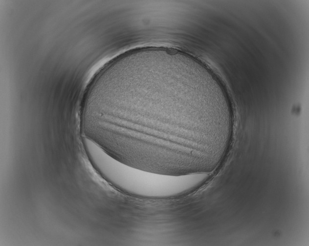 X0000112790944200909111208