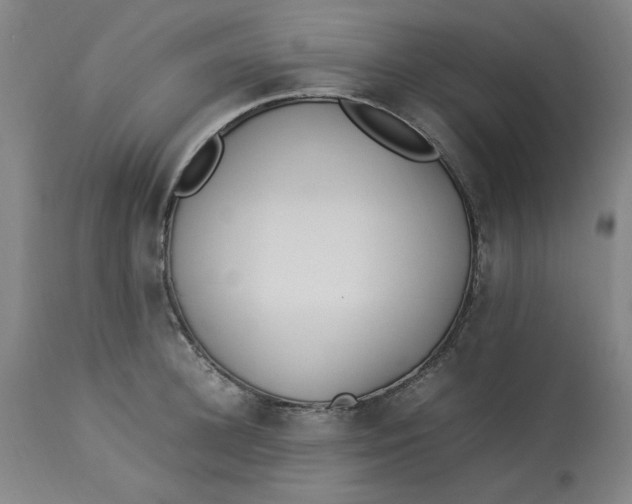 X0000112790948200909111208