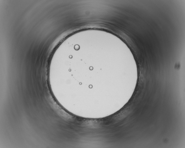 X0000112790950200909111208