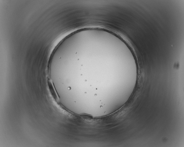 X0000112790951200909111208