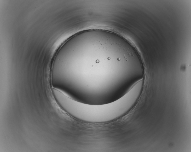 X0000112790952200909111208