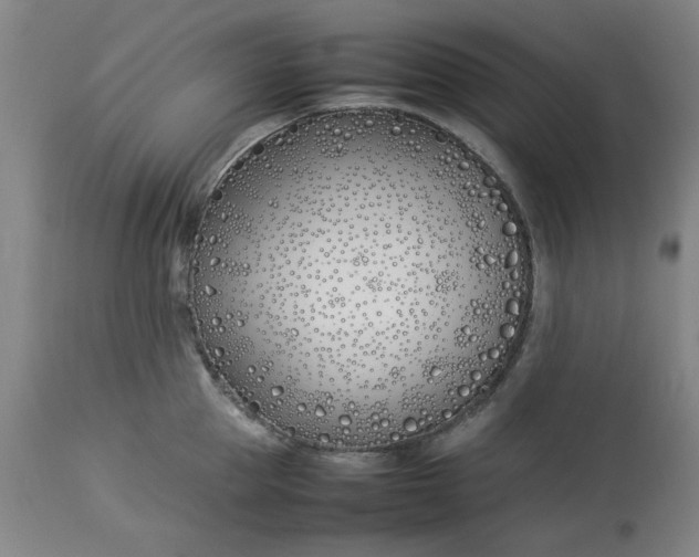 X0000112790953200909111208