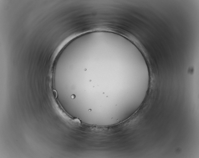 X0000112790955200909111208