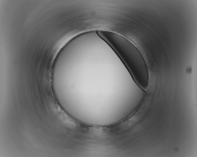 X0000112790956200909111208