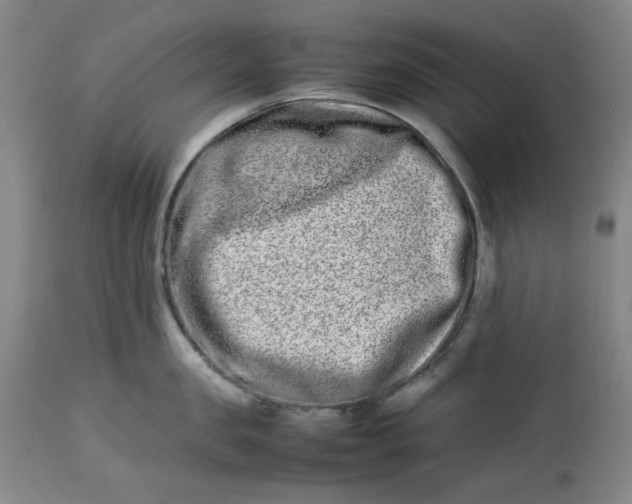 X0000112790957200909111208