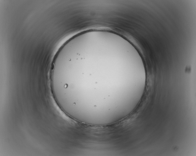 X0000112790959200909111208