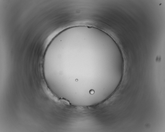 X0000112790960200909111208