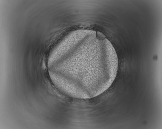 X0000112790962200909111208