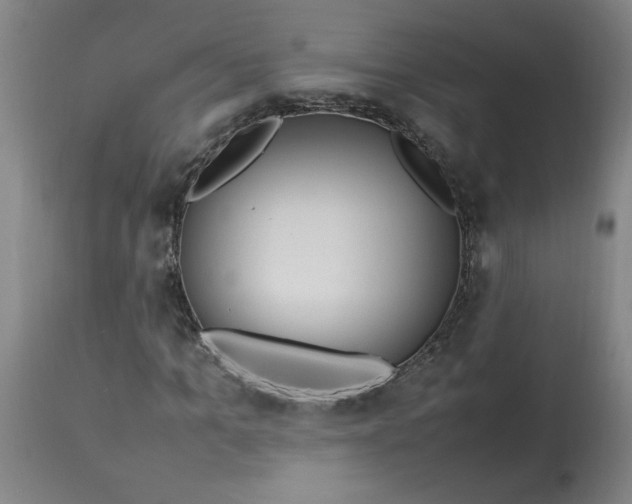 X0000112790965200909111207