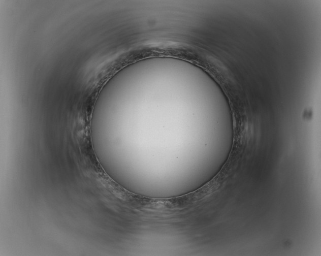 X0000112790966200909111207