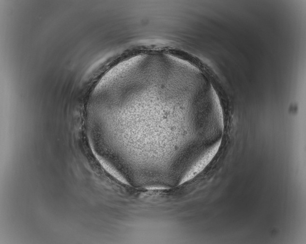 X0000112790967200909111207