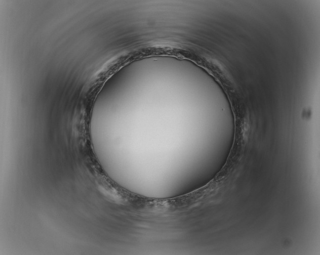 X0000112790968200909111207