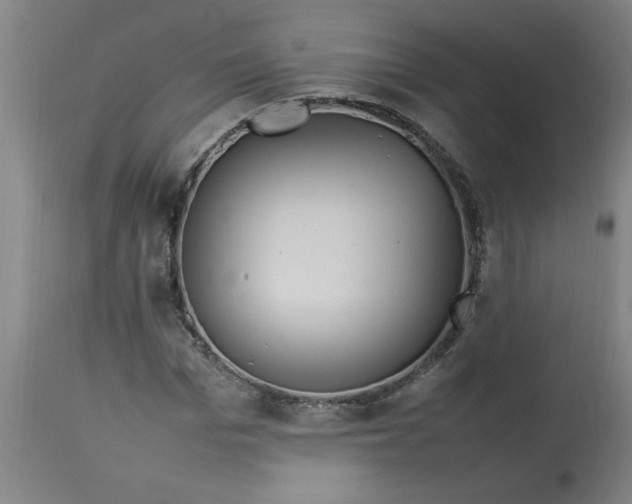 X0000112790969200909111207