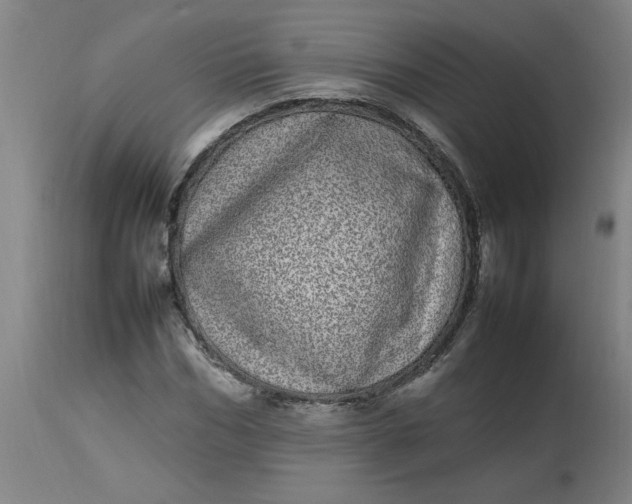 X0000112790970200909111207