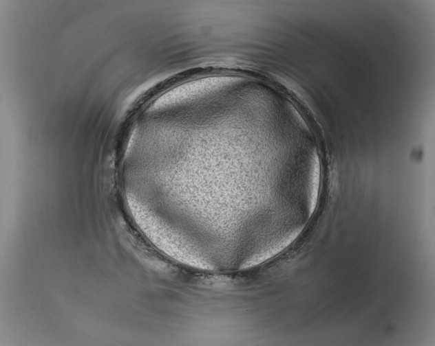 X0000112790971200909111207