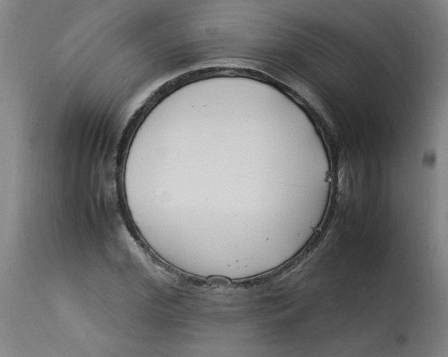 X0000112790972200909111207