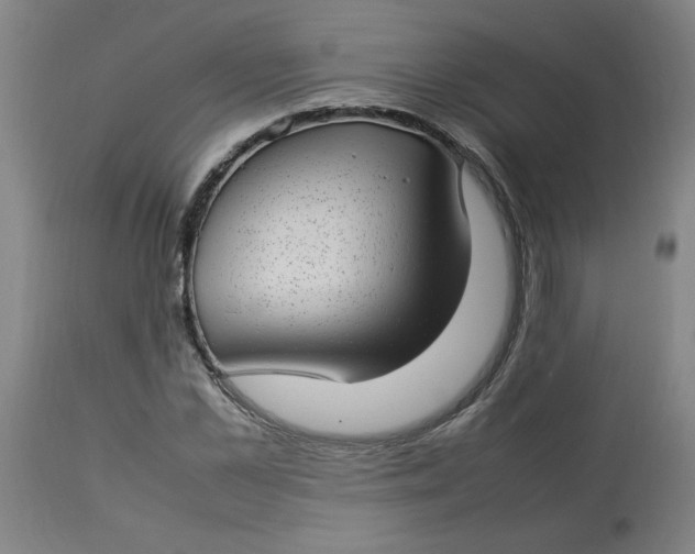 X0000112790973200909111207