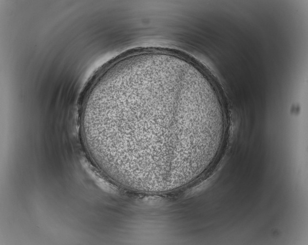 X0000112790974200909111207