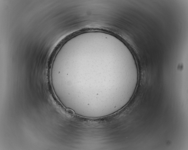 X0000112790976200909111207