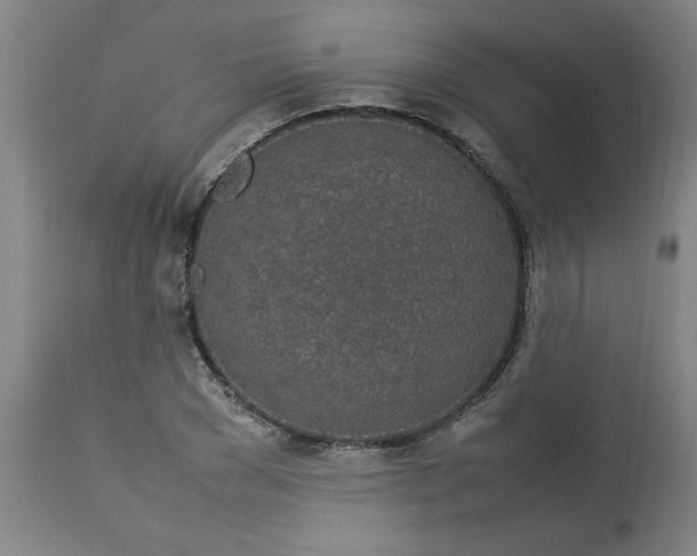 X0000112790977200909111207