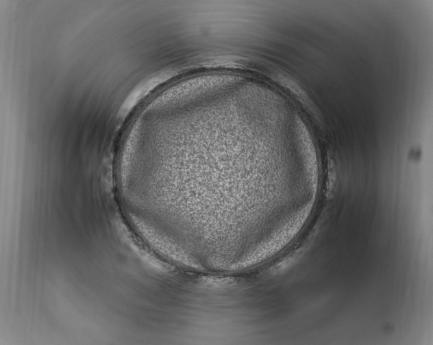 X0000112790978200909111207