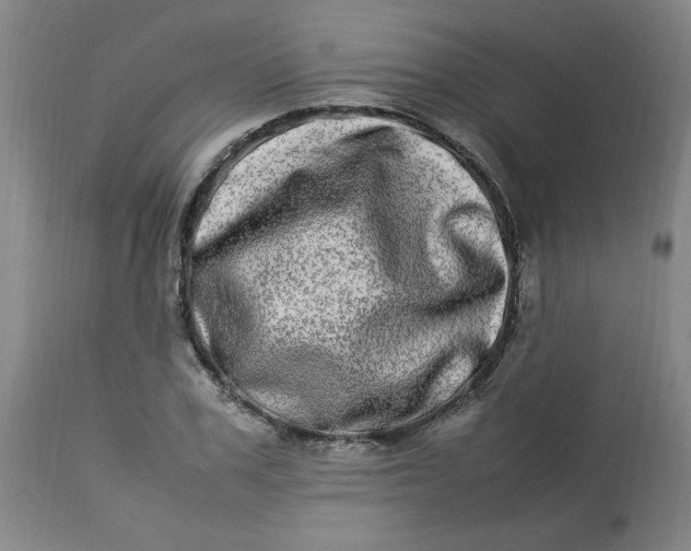 X0000112790979200909111207