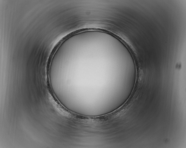 X0000112790980200909111207