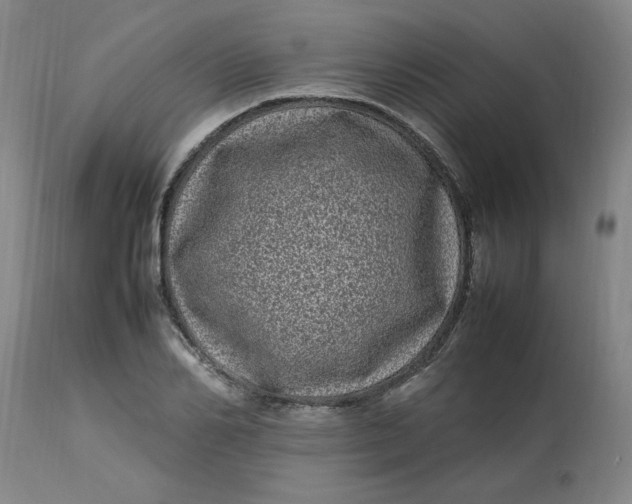 X0000112790982200909111207