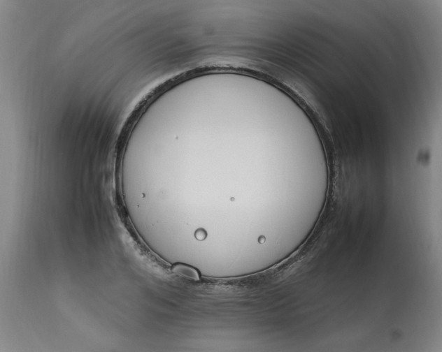 X0000112790984200909111207