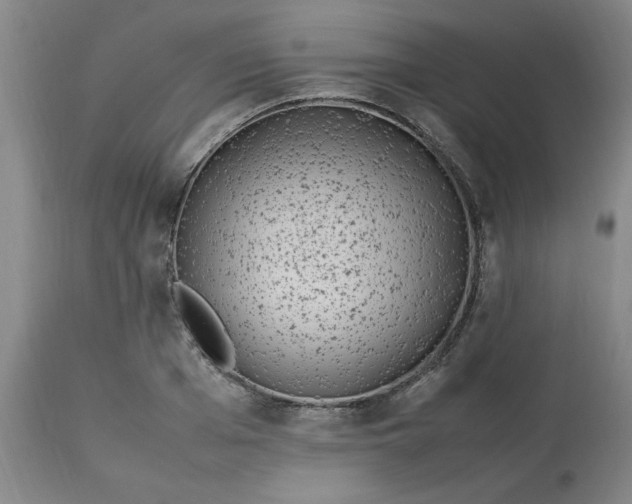 X0000112790985200909111207