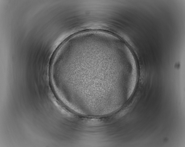 X0000112790986200909111207