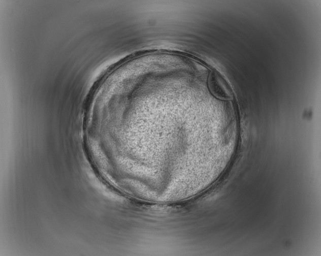 X0000112790987200909111207