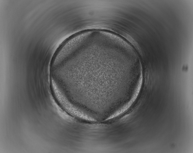 X0000112790988200909111207