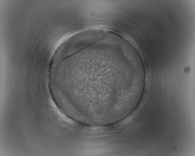 X0000112790989200909111207