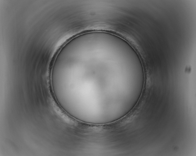 X0000112790990200909111207