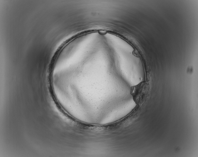 X0000112790991200909111207