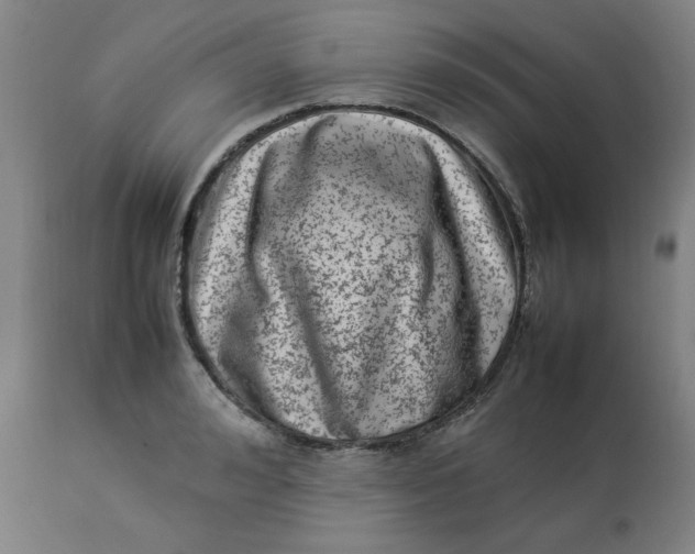 X0000112790992200909111207