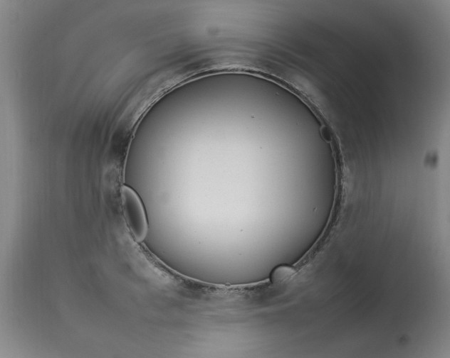 X0000112790993200909111207