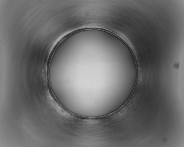 X0000112790996200909111207