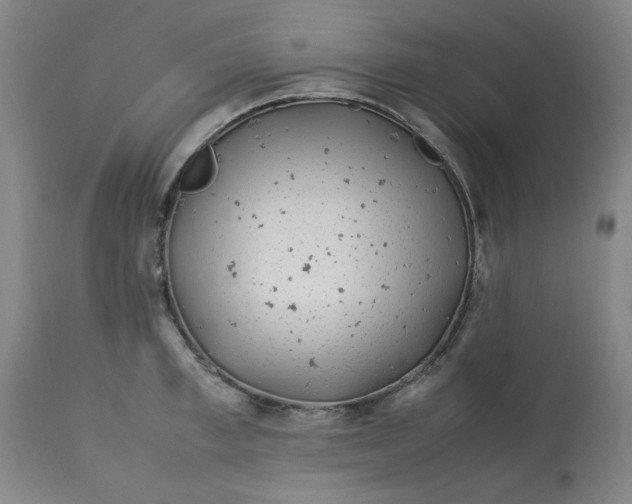 X0000112790997200909111207