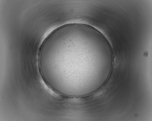 X0000112790998200909111207